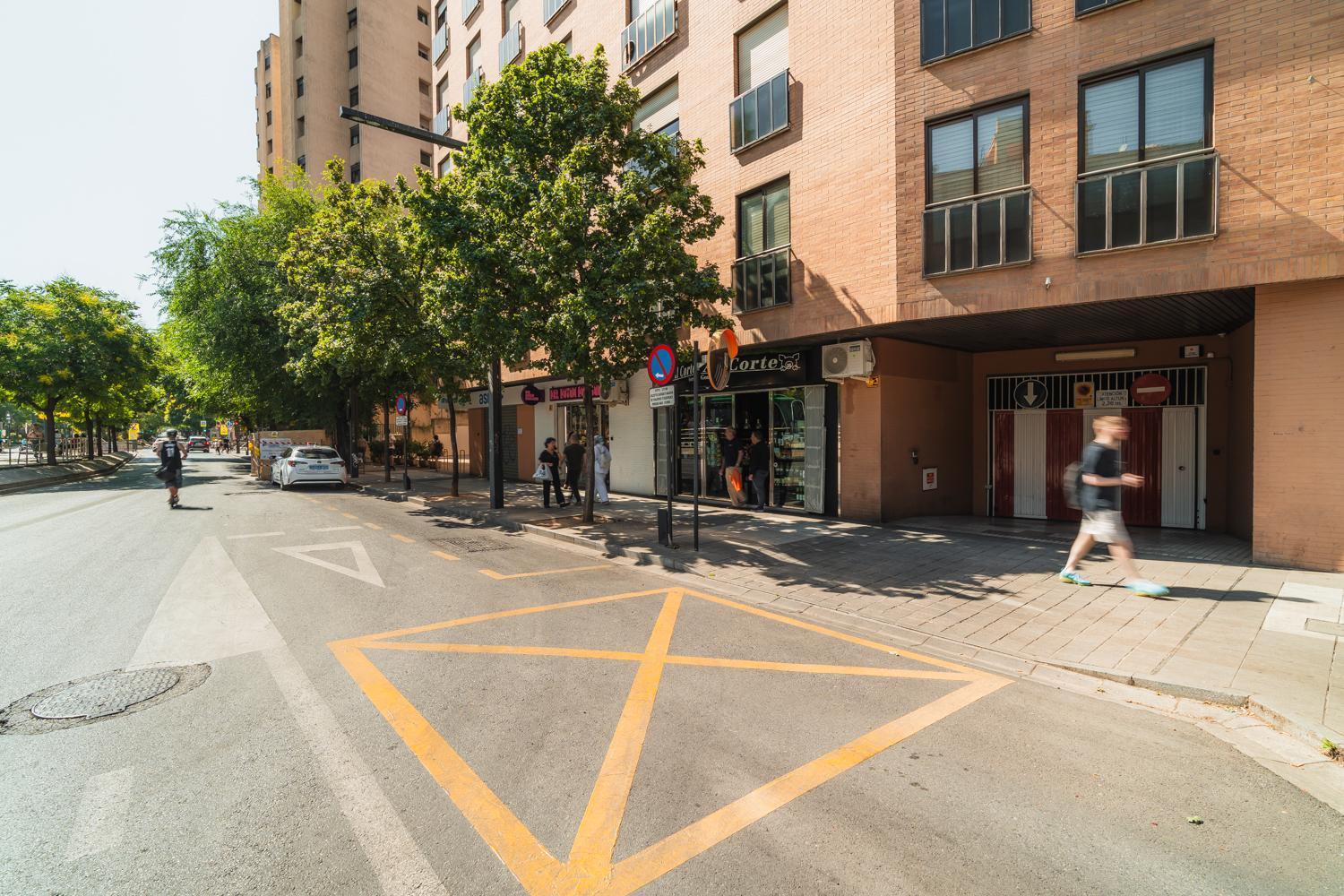 Constitucion Apartment - Free Parking Grenada Zewnętrze zdjęcie